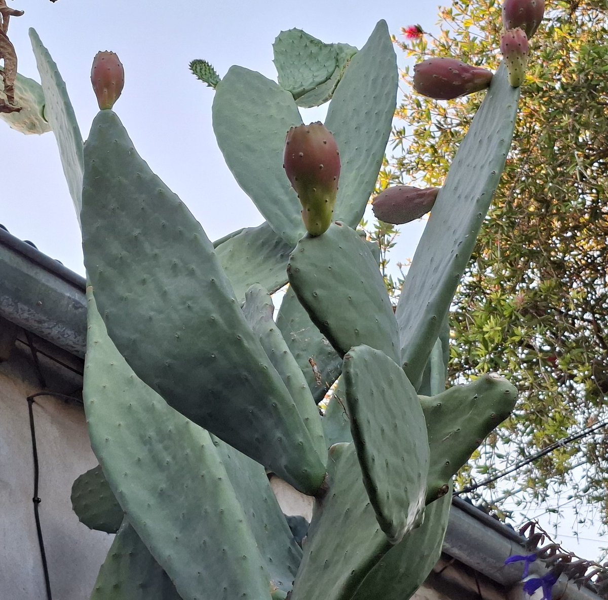 Jime 🌻 tweet media