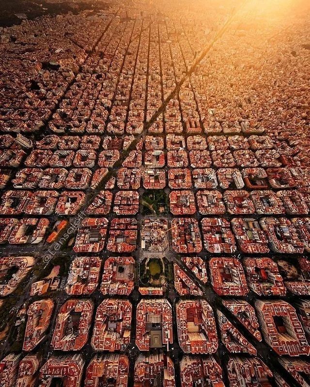 Wander Aesthetic tweet media