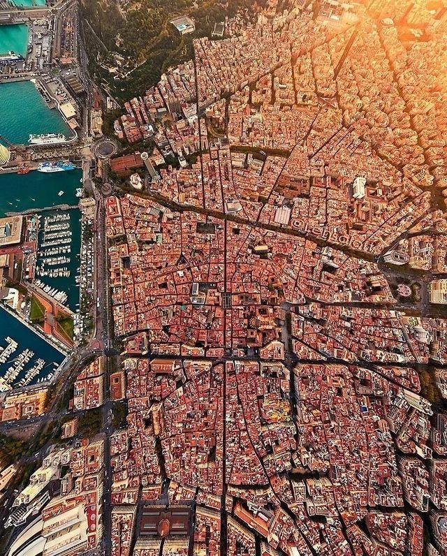 Wander Aesthetic tweet media