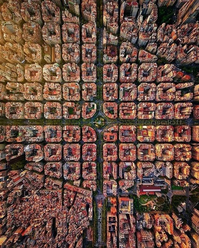 Wander Aesthetic tweet media