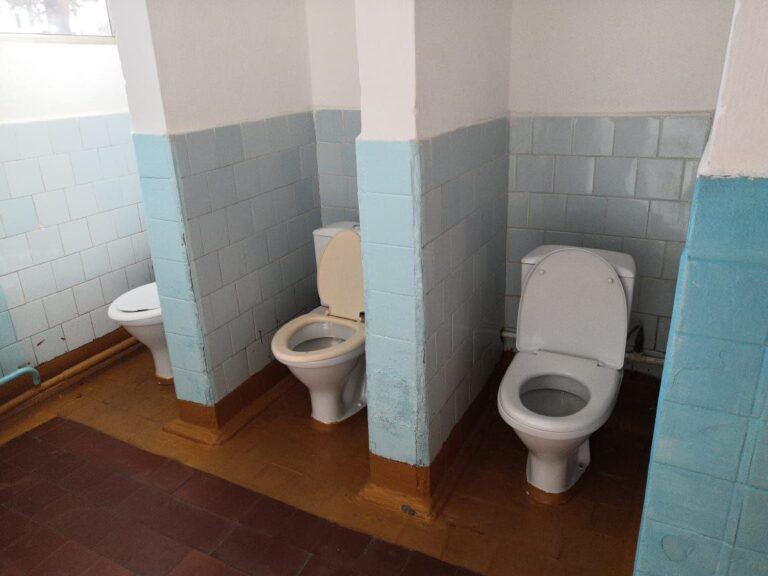 Alexander Kokcharov tweet media