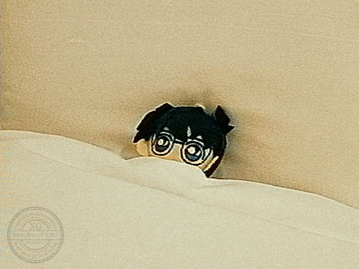ぬい活写真
#HEISEI_VHS