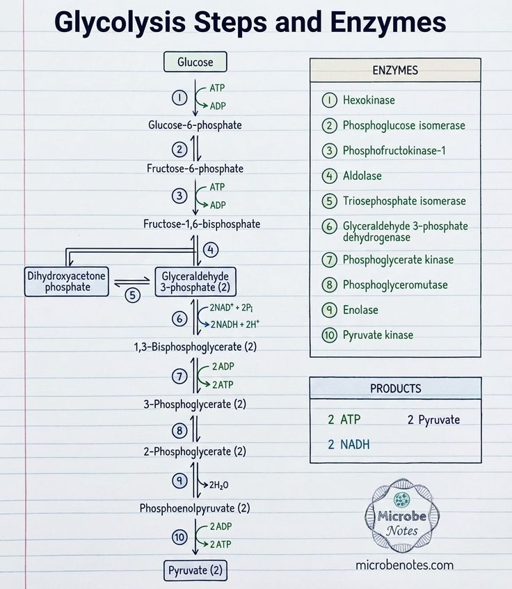 Simon Thazhigilla Simon🇳🇬 tweet media