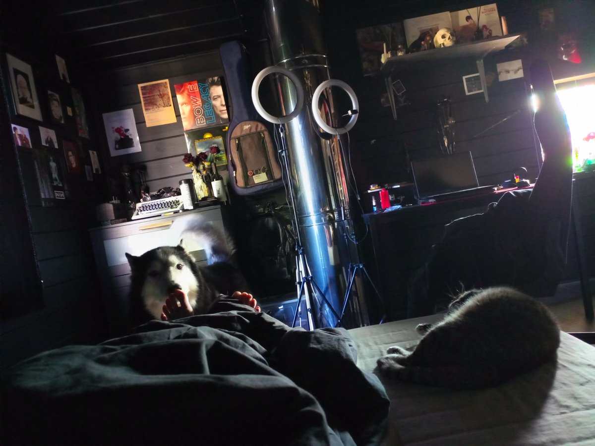 некрøфe†ишизw tweet media