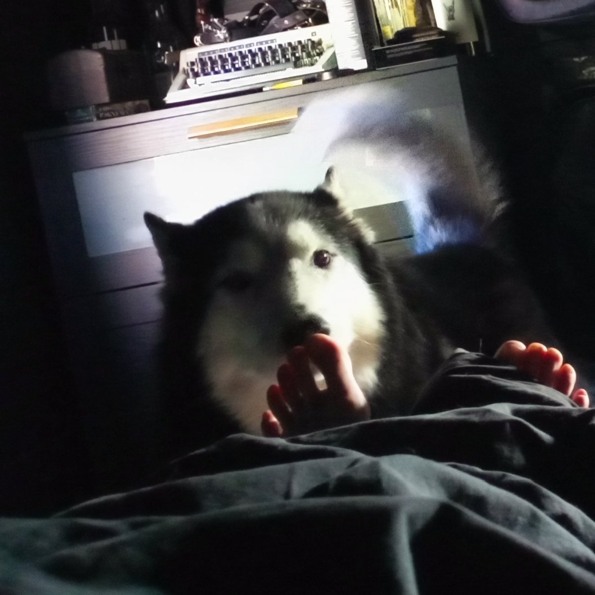 некрøфe†ишизw tweet media