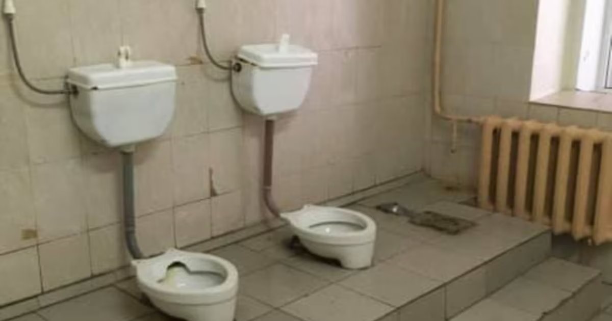 Alexander Kokcharov tweet media