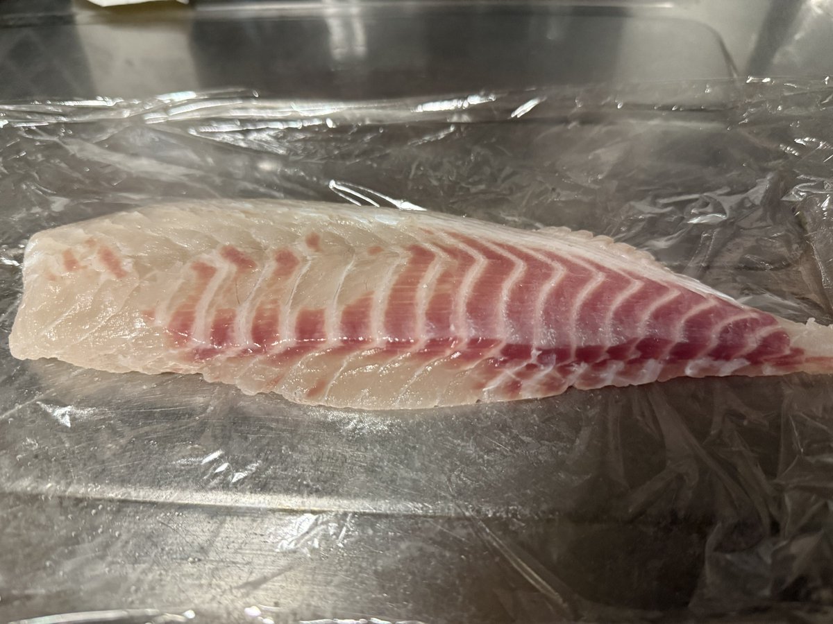 namidayuki_'s tweet photo. 魚の生臭さが苦手で
刺身食べれないんですが、
捌けるのが自分しかいないので
捌くだけ捌きました。

手から魚臭がするので風呂入ります… https://t.co/QW9tKicb9U