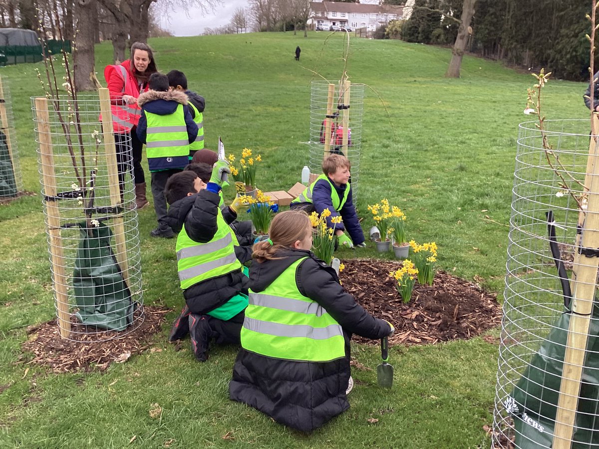 Timberley Academy tweet media