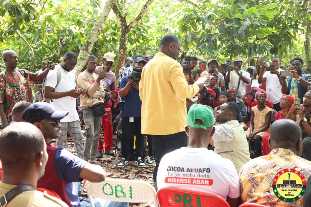 Good morning, H.E. President John Mahama Dramani. Please pay the cocoa farmers; they are struggling, and some are dying due to the worsening cost of living in Ghana under your leadership.

Your Excellency, it is deeply regrettable that you cut the per-bag price of cocoa for the