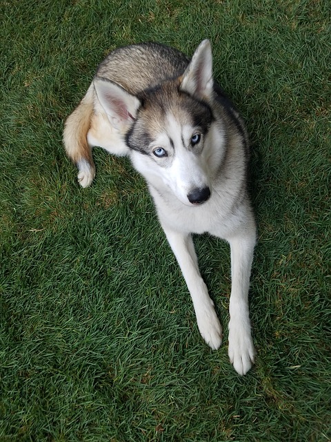 Valerie Stone tweet media