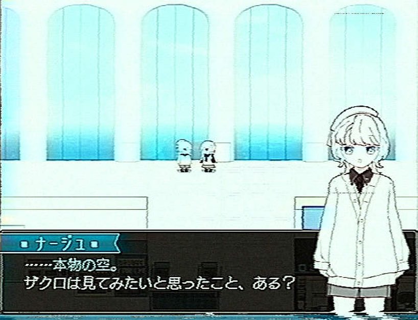 仮ふらわー　⑅ ₊ ᴄᴀʟɪ ꜰʟᴏᴡᴇʀ ₊ ⑅ tweet media