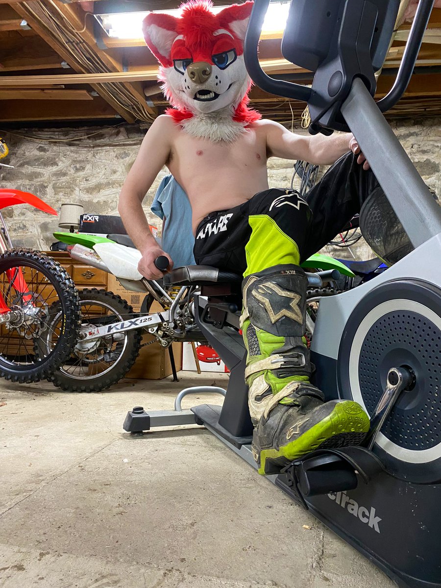 MX Dog 🥾🐾 🔜 ANE | NFC tweet media