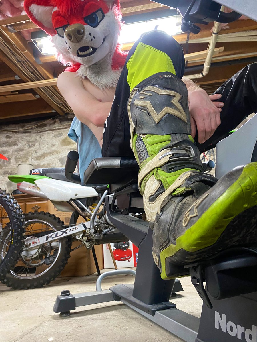 MX Dog 🥾🐾 🔜 ANE | NFC tweet media