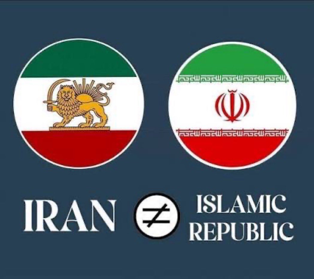 Tannaz ♛🇮🇷🖤 (@risinglioness) on Twitter photo 