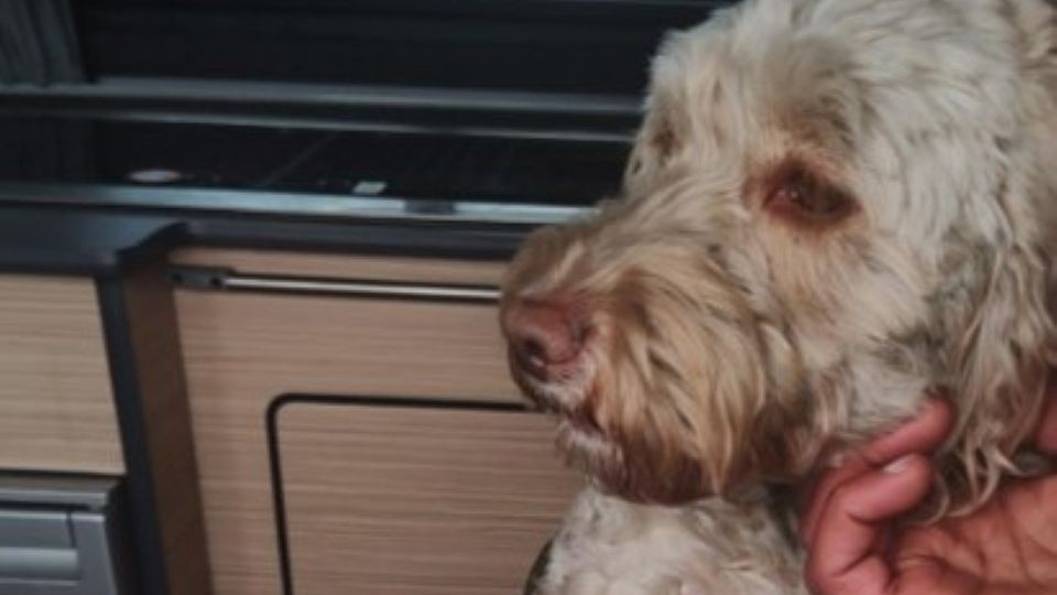 Oldham Chronicle tweet media