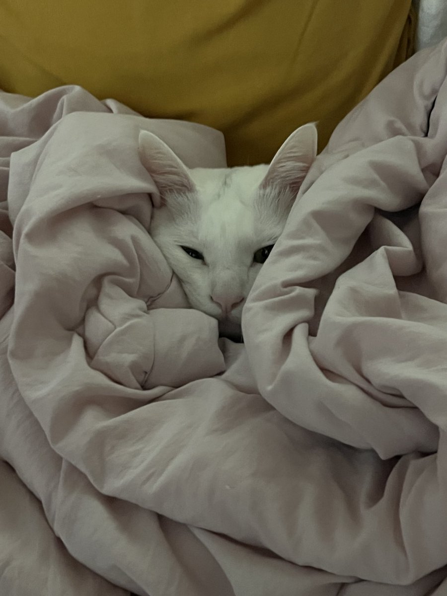 summer_cat030's tweet photo. 어쩜 우리 동생은 하는 것도 언니를 쏙 빼닮았을까… https://t.co/uce7GO5gC9
