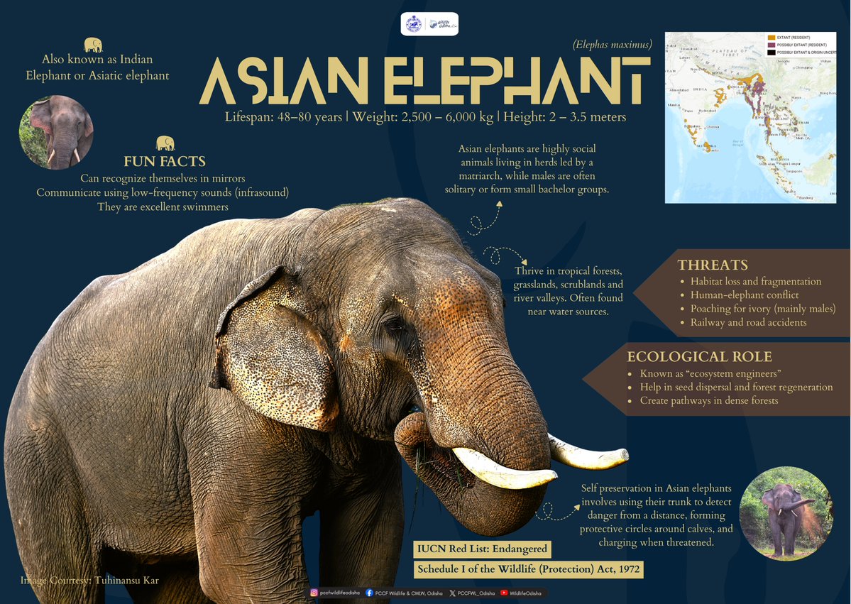 PCCF WL & CWLW, Odisha tweet media