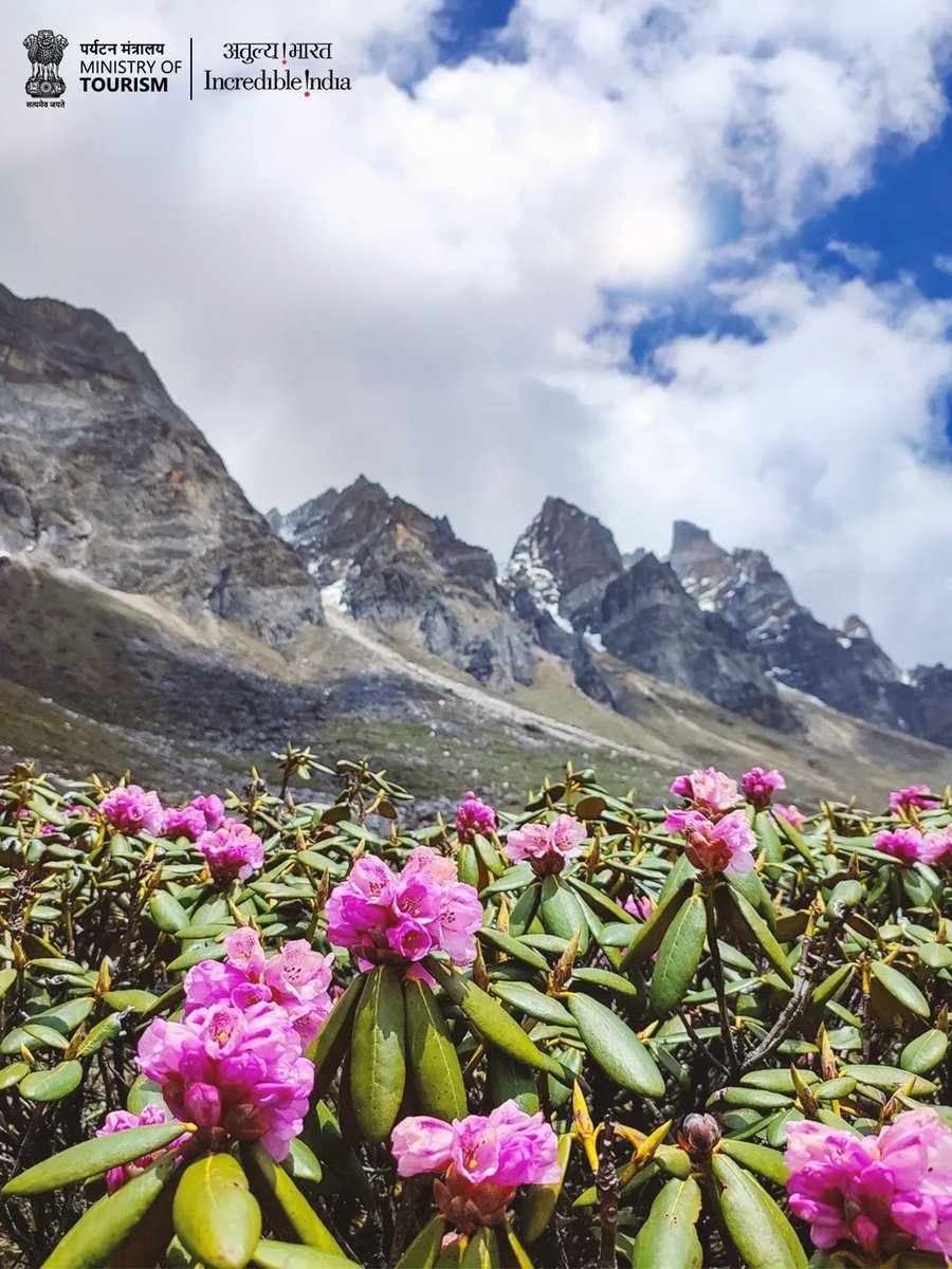 Incredible!ndia tweet media