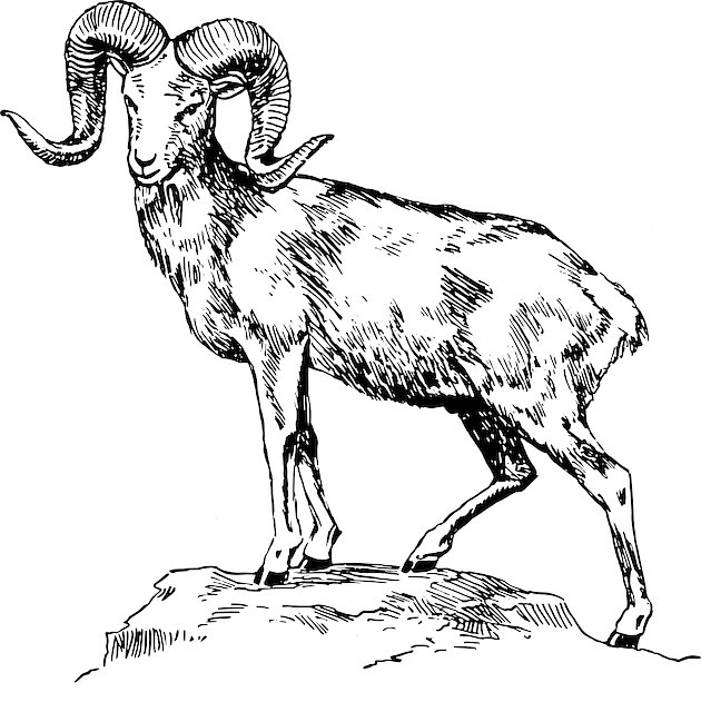 Bryan Clark tweet media