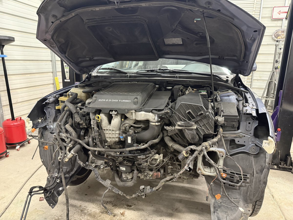 bentobull.bsky.social tweet media