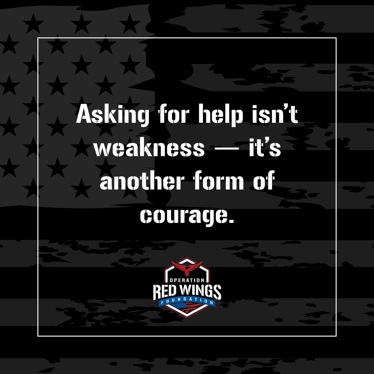 Operation Red Wings Foundation tweet media