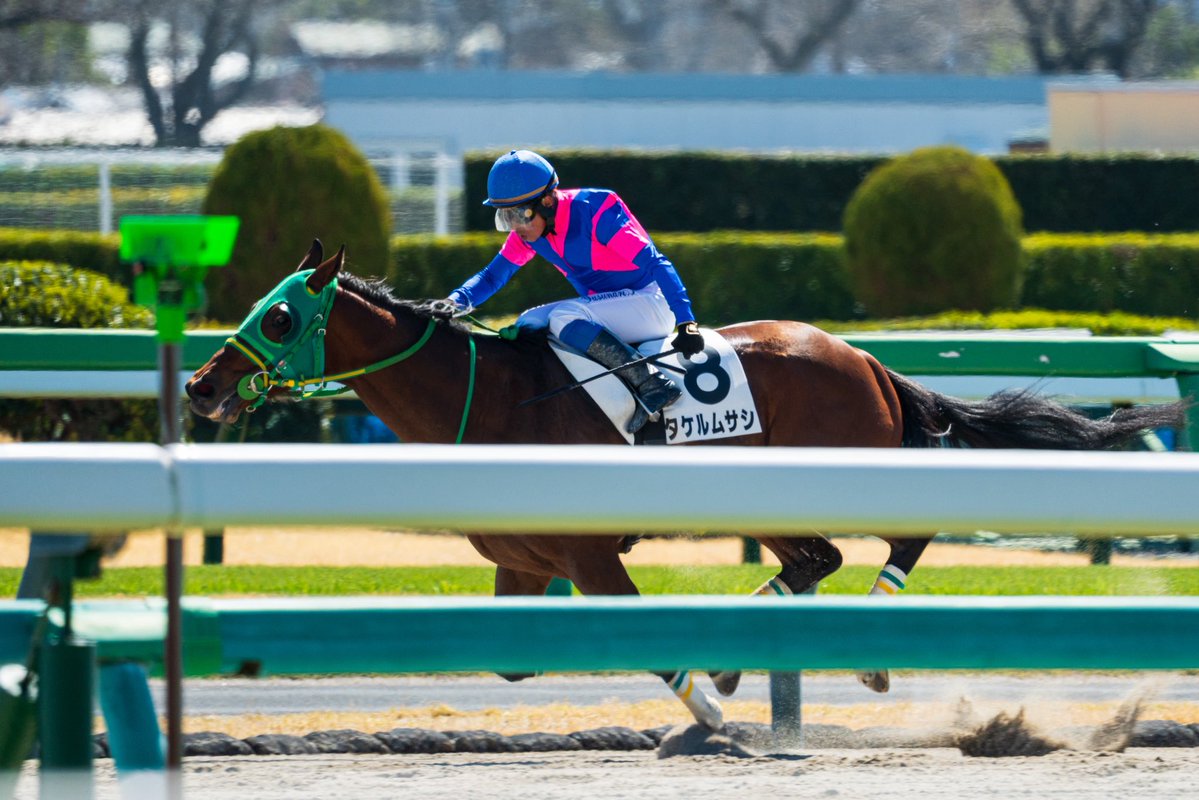 まれこ📸新規予定× tweet media