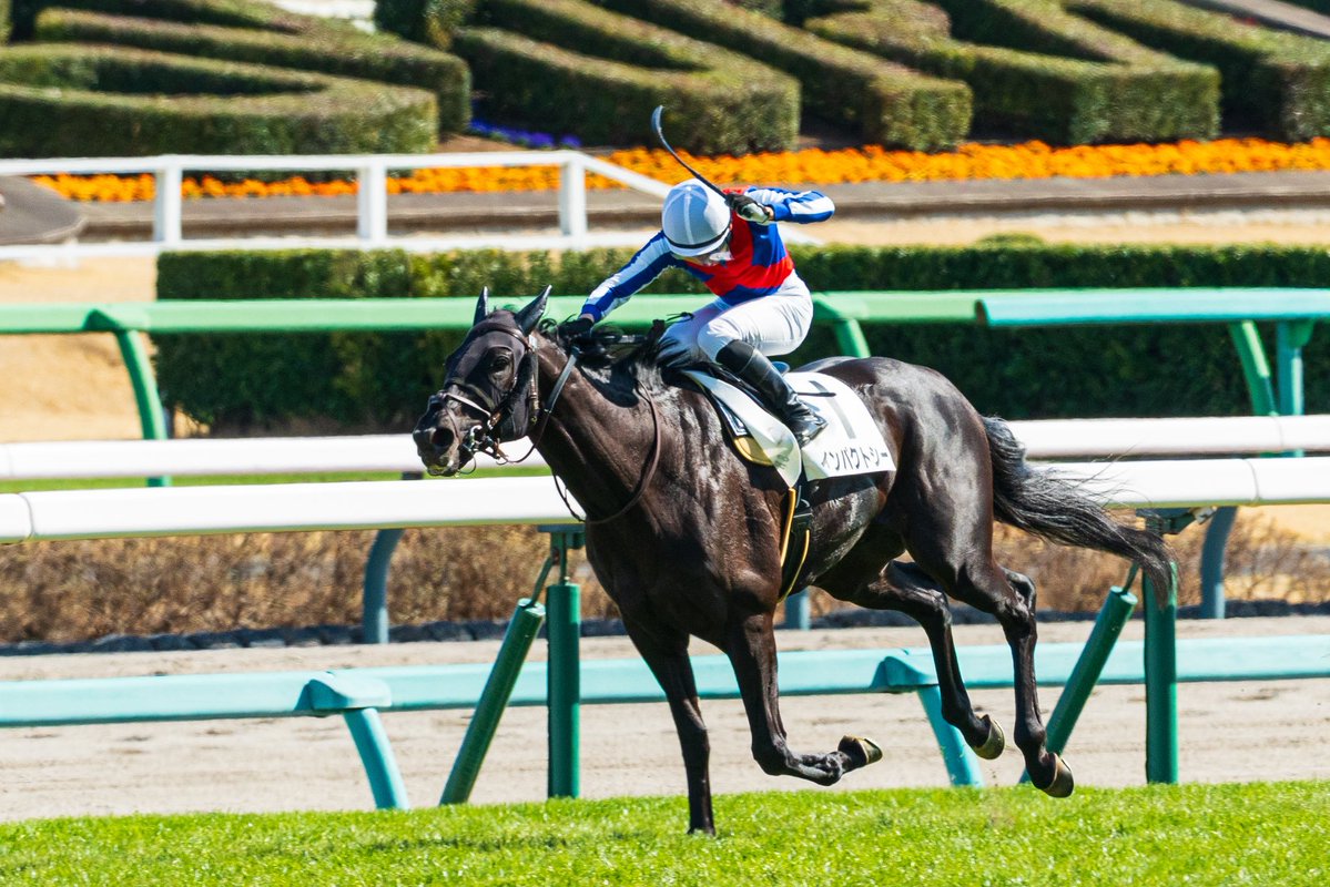 まれこ📸新規予定× tweet media