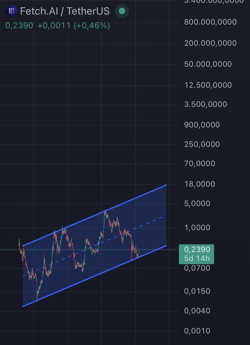 quinto.npc tweet media