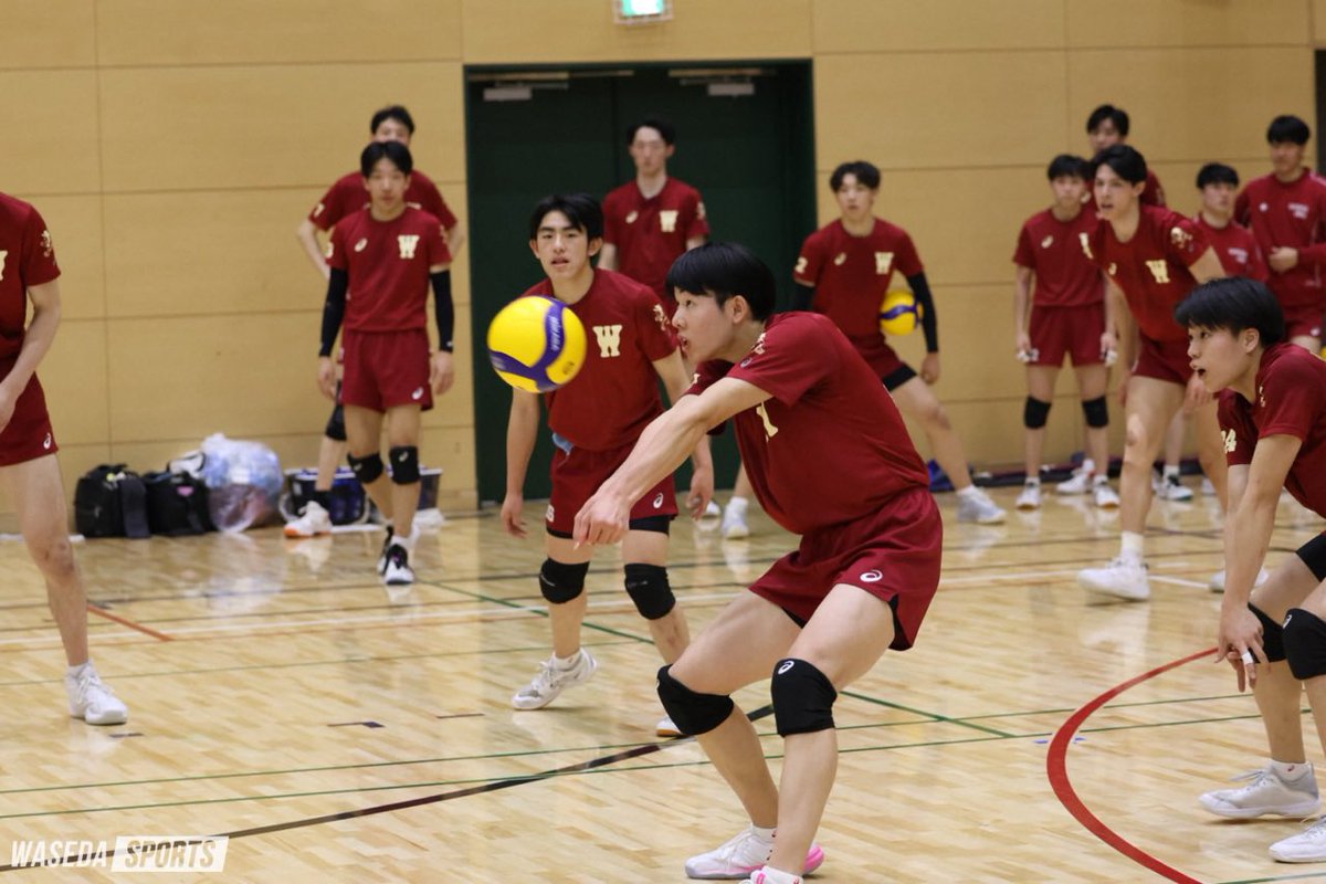 waseda_sports's tweet photo. [記事更新] Sprout Camp コメント集

記事URL≫ https://t.co/PqVPLQSvdR

#sousupovolleyball #waseda #早稲田バレー  #早稲田 https://t.co/7GPFPlwb2O
