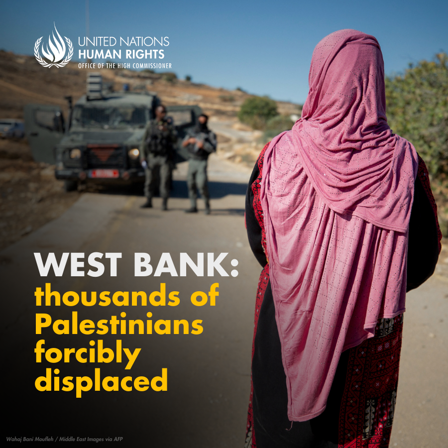 UN Human Rights tweet media