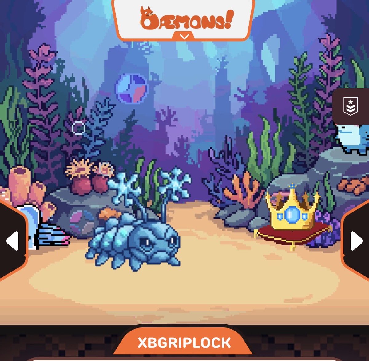 Riplock.XBG tweet media