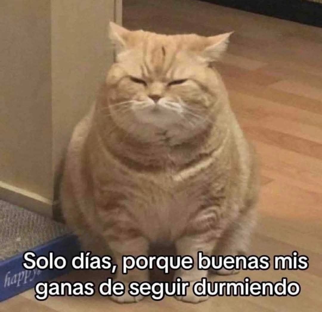 En Júpiter (@en_jupiter_) on Twitter photo 