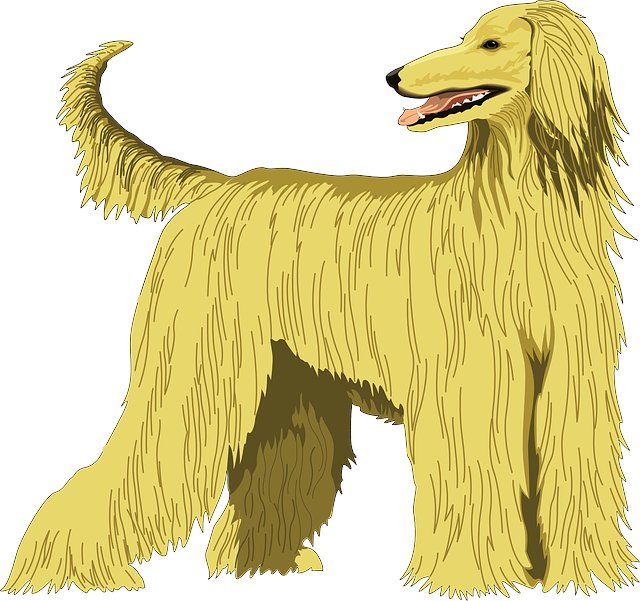 Andrew Christensen tweet media