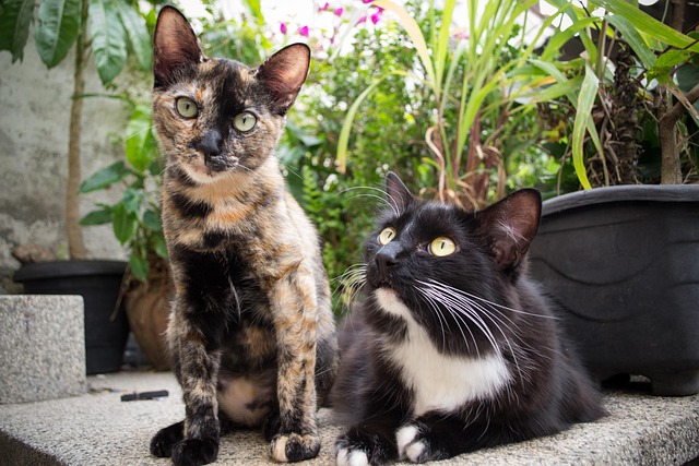 Glenn Sharp tweet media