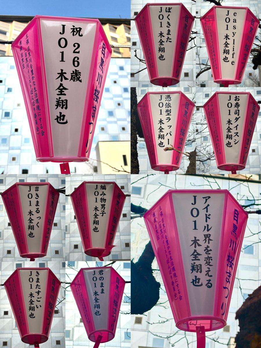 syoya20260405's tweet photo. 🍃🌸 ぼんぼり大公開 🌸🍃

一足お先に、ぼんぼりのお写真を大公開❕
見かけた方は #きまぼんぼり で投稿・拡散のご協力よろしくお願いします📢🐰✨

📍東京都目黒区下目黒2丁目8-7 辺り
※調整の関係で変更の可能性あり
※10基全て横並びに設置

#きまちゃん桜ぼんぼりプロジェクト
#木全翔也
#JO1 https://t.co/EqttXyY5eN