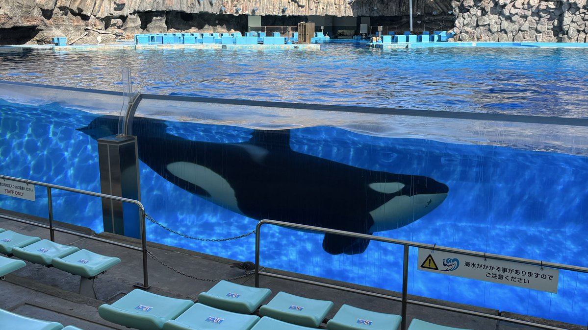 🫧ナニ tweet media