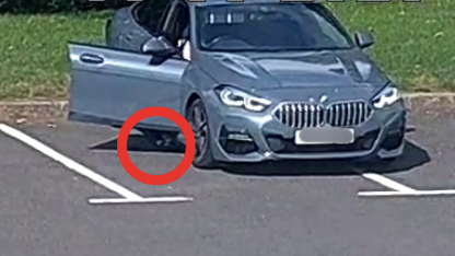 Walsall Bins & Things tweet media