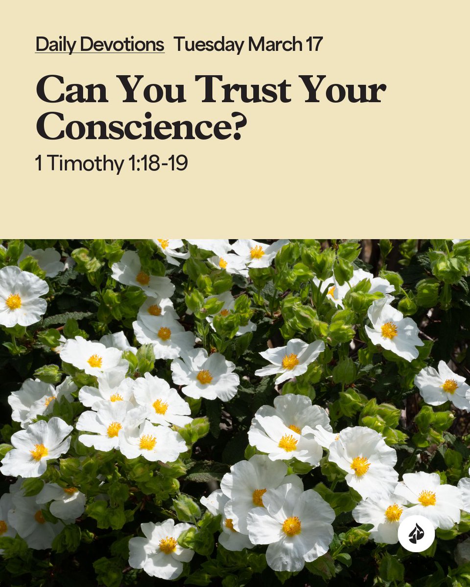 In Touch Ministries tweet media