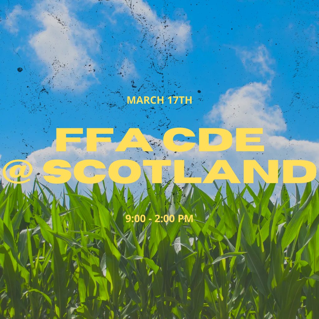 Menno Wolves tweet media