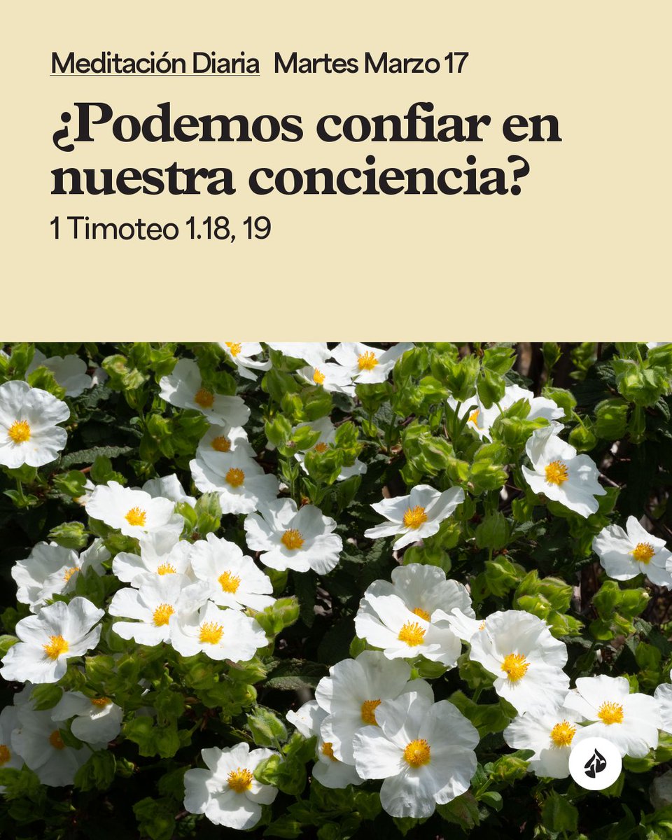 Encontacto's tweet image. Pídale a Dios que le enseñe si su conciencia está guiándolo en realidad. #Devocional
encontacto.org/lea/devocional…