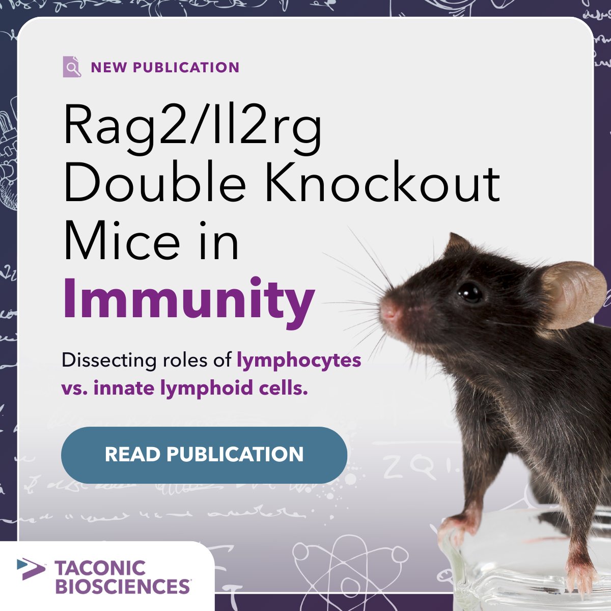 Taconic Biosciences tweet media