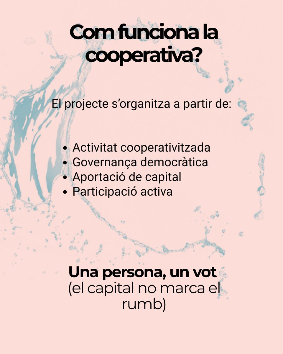 Federació Coopsconsum tweet media