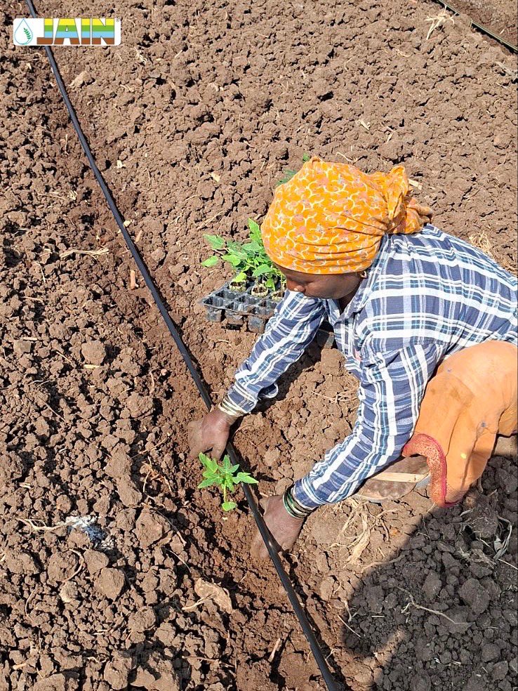 Jain Irrigation tweet media