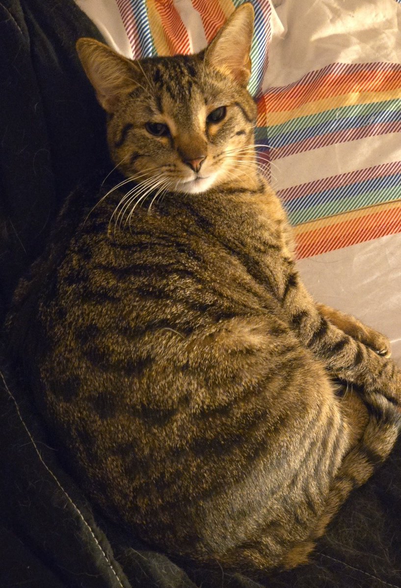 Clark Kent tweet media