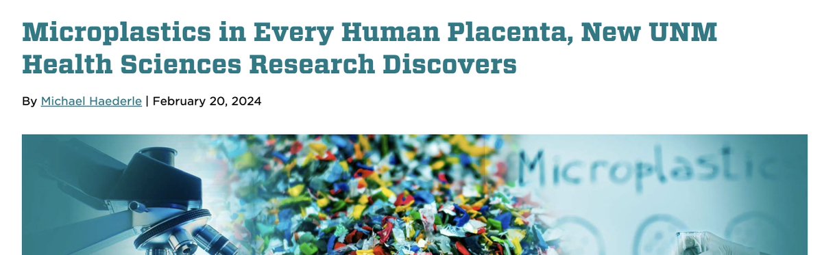 Preethi Kasireddy tweet media