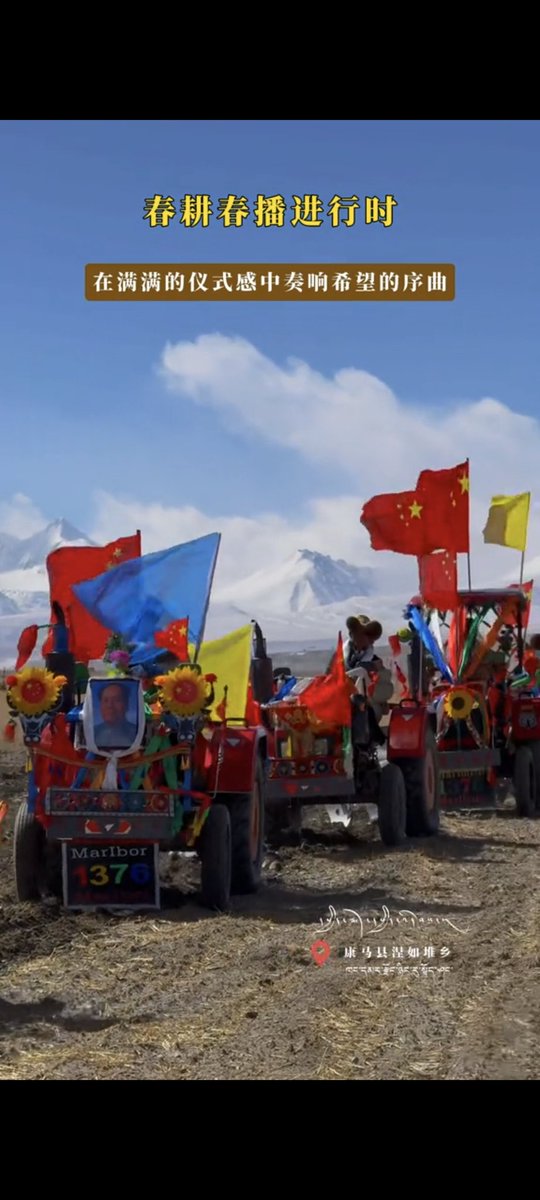 古月德胜 tweet media