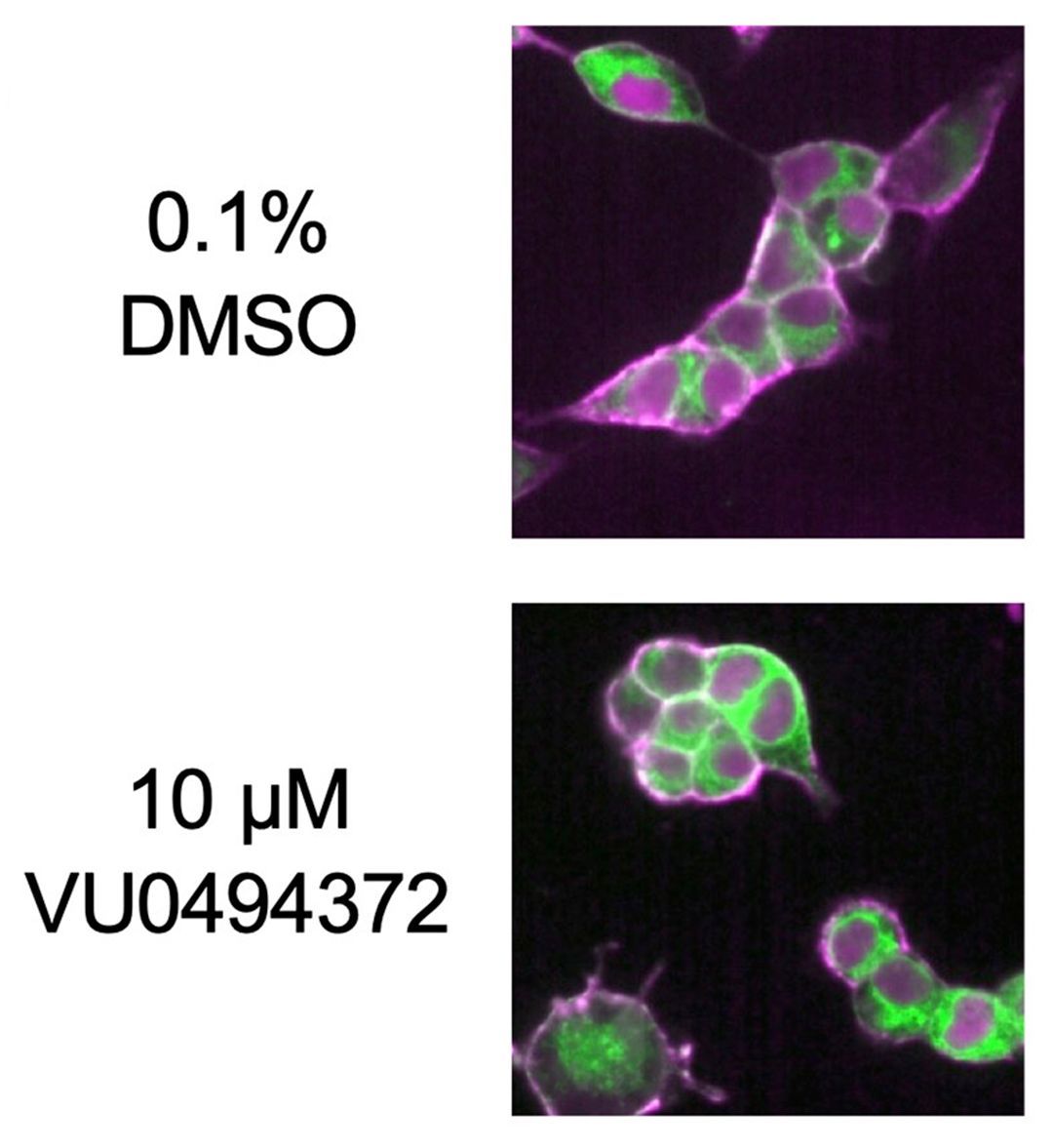 JCI insight tweet media