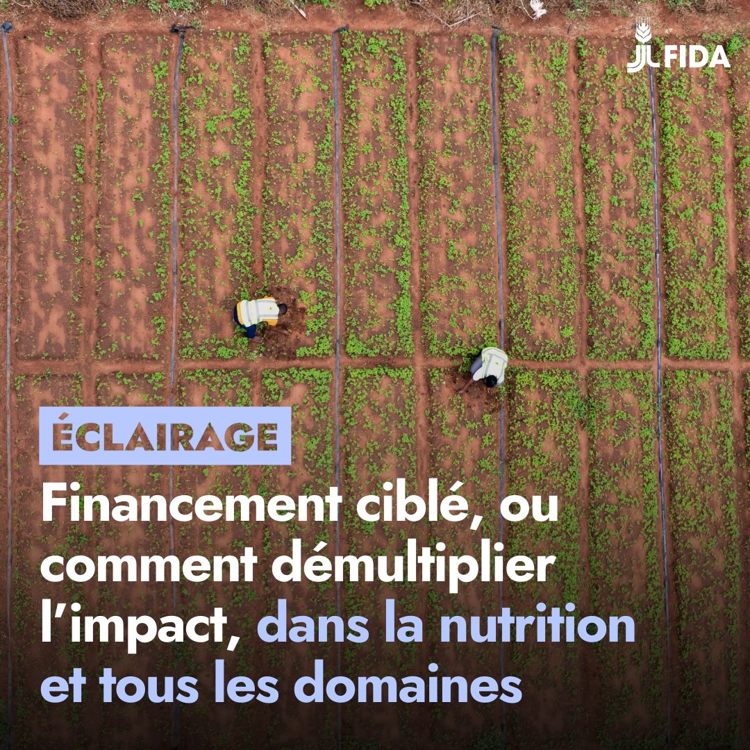 Fonds international de développement agricole tweet media