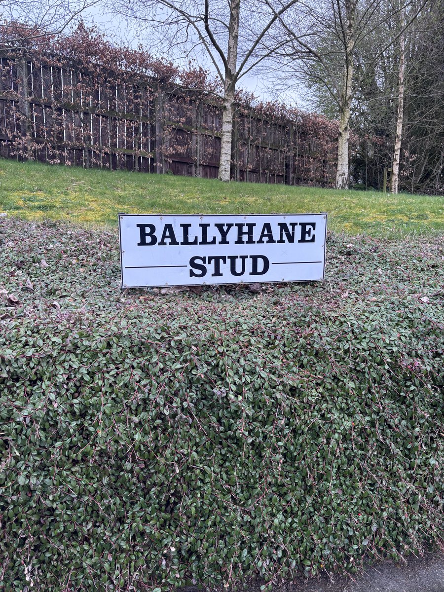 JSC Communications tweet media