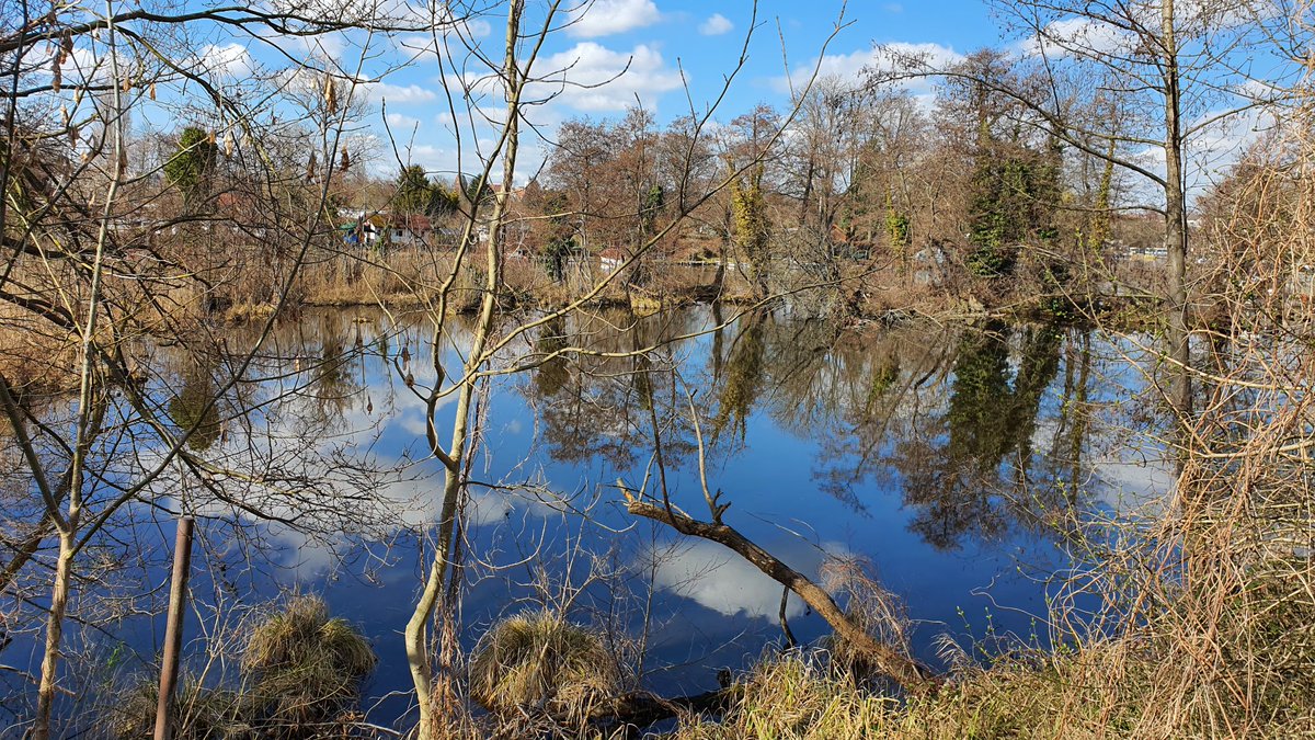Teilhabe_4_all's tweet photo. Bin gespannt wer hier bald wieder brütet. #Biotop #Stadtnatur #Köpenick https://t.co/KyFRE3itH7